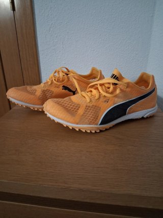 Puma Evospeed Haraka 8 spikeless talla 43