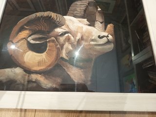 Cuadro de Carnero con Marco Blanco