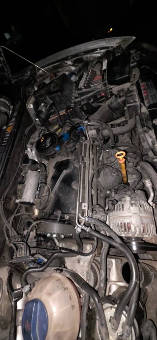 Motor 1.9 TDI 100cv