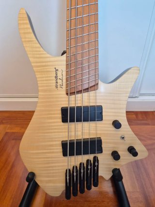 Bajo Strandberg Boden Bass Standard 5