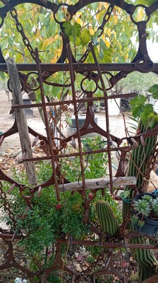Reja antigua de hierro macizo