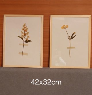 Pareja de láminas enmarcadas motivos florales