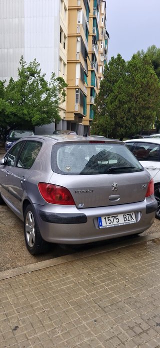 Peugeot 307 2.0 HDI 98.500 Km