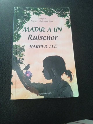 Matar a un Ruiseñor - Harper Lee