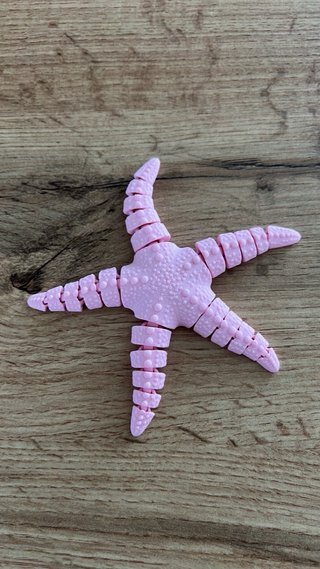 Estrella de Mar Articulada Rosa