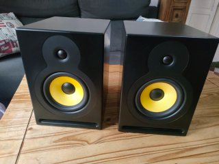 Altavoces Monitor 80