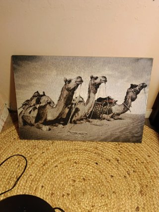 Cuadro Decorativo de Camellos