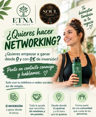 Teletrabajo networking