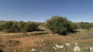 Solar en venta en Cabanillas del Campo