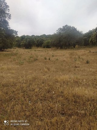 Terreno en venta en Villar de Rena