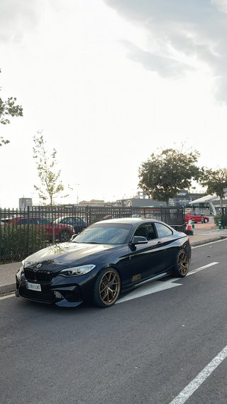 BMW Serie 2 2016