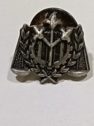 Pin Plateado con Emblema