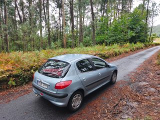 Peugeot 206 2003