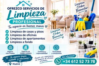 Limpieza profesional de casas, oficinas y locales.