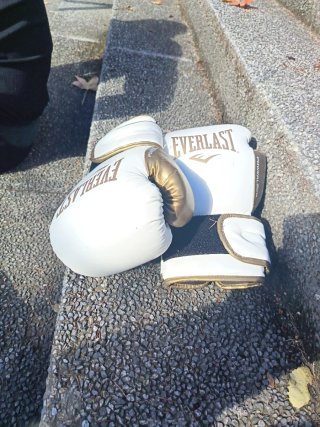 Guantes de Boxeo Everlast Blancos y Dorados