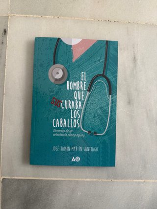El hombre que suscuraba los caballos