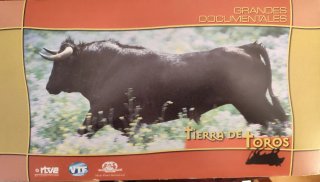 Colección 13 Videos Tierra de Toros