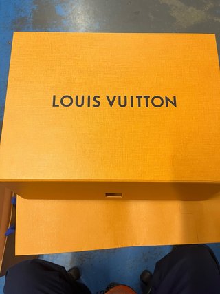 Caja y Bolsas Louis Vuitton