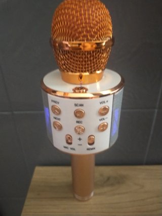 Micrófono de Karaoke Inalámbrico con Altavoz