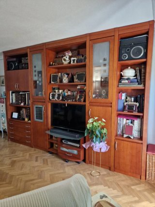 Gran Mueble de Salón y Librería