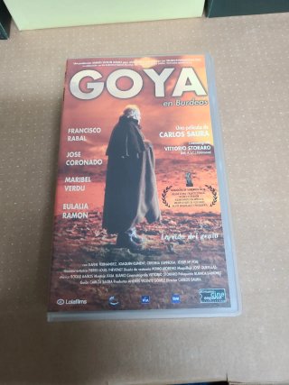 VHS Goya en Burdeos (Carlos Saura)