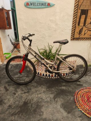 Bicicleta de Montaña Topbike