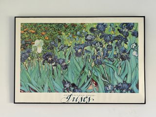 Cuadro Van Gogh Lirios