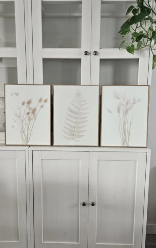 Lote de 3 Cuadros Botánicos 30x40 cm