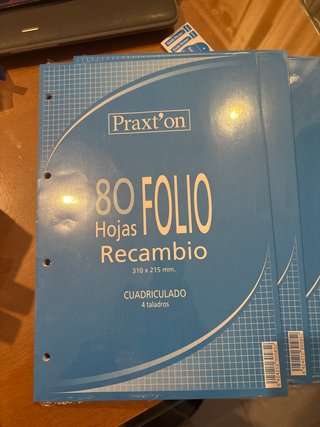 6 Paquetes de 80 Hojas Recambio Praxt’on