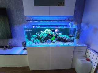 Acuario Marino 300 Litros 120x50x50