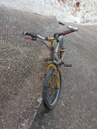 Bicicleta de Montaña Amarilla y Gris