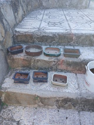 Set de 7 Macetas para Bonsái