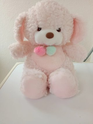 Osito de Peluche Rosa