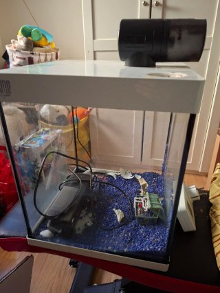 Acuario de 50 Litros Completo