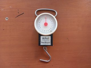 Báscula de mano analógica
