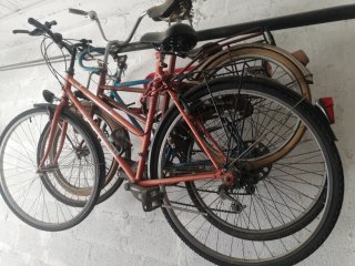 Lote de 3 bicicletas