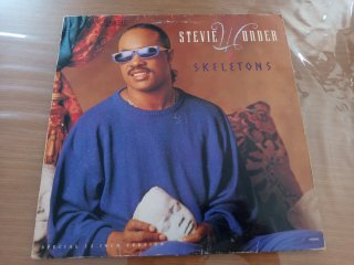 Maxi Single Stevie Wonder - Skeletons