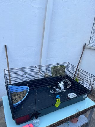 Jaula para conejo