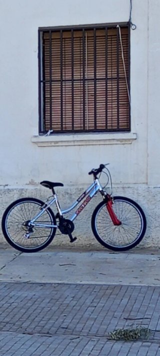 Bicicleta de Montaña MTB Plateada y Roja
