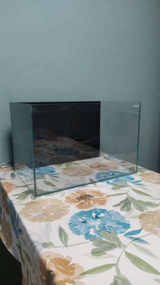 Acuario