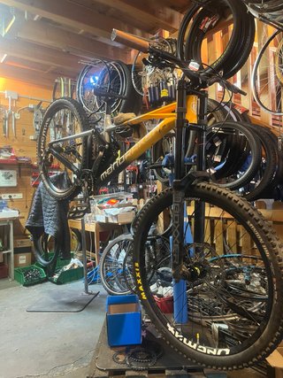 Mondraker Summum R Mullet 2025 (M)