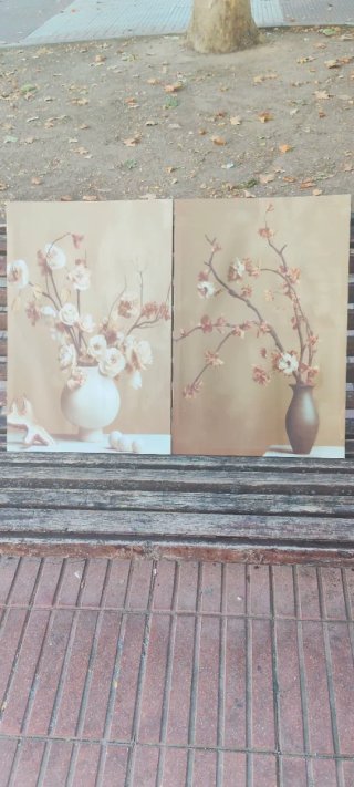 Set de 2 Cuadros Decorativos