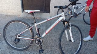 Bicicleta de Montaña Plateada