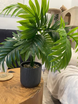 Planta Artificial con Maceta Decorativa