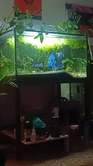 Acuario de 300 Litros con Mueble