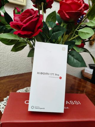 Xiaomi 17T Pro