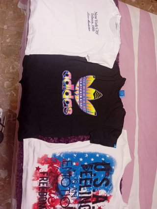 Lote de 3 Camisetas