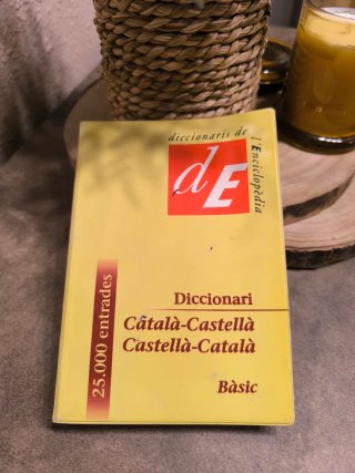 Diccionari bàsic català-castellà castellà-català
