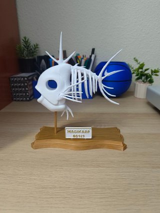 Trofeo Magikarp Pokémon