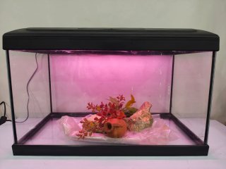 Acuario de 60 Litros